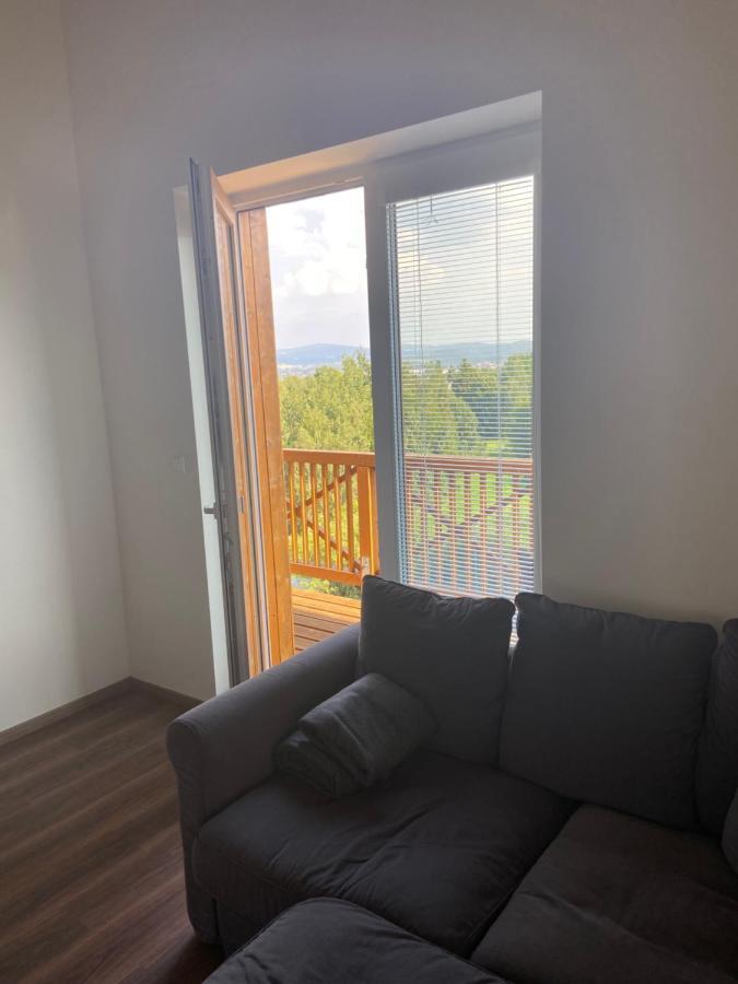 Horsky Apartman Pod Jestedem Apartment Liberec Exterior photo